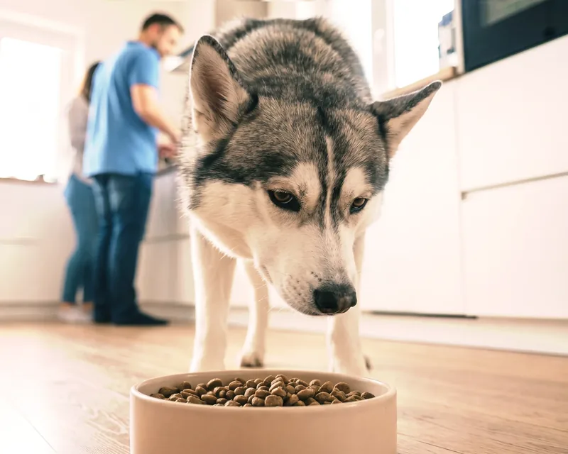 Hypoallergene voeding